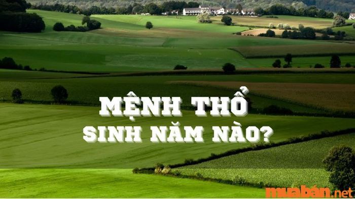 Năm sinh của người thuộc mệnh Thổ là gì?
