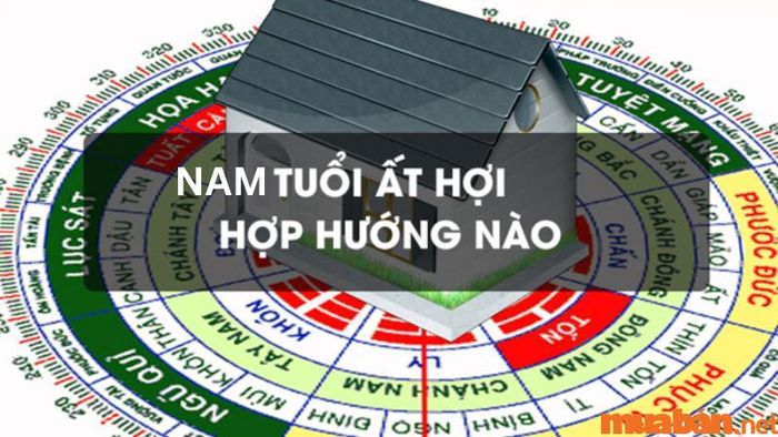 Các hướng hợp với nam mạng 1995