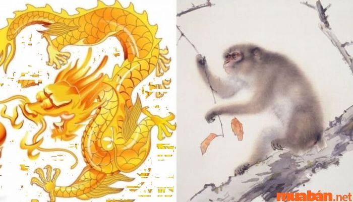 Sự kết hợp giữa tuổi Thìn và tuổi Thân thực sự là một sự liên kết tuyệt vời, mang lại sự hài hòa và sức mạnh