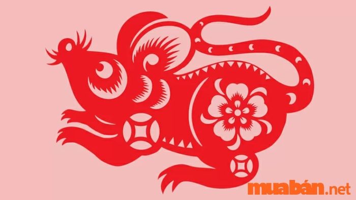 Màu sắc nào hợp với người sinh năm 2008?