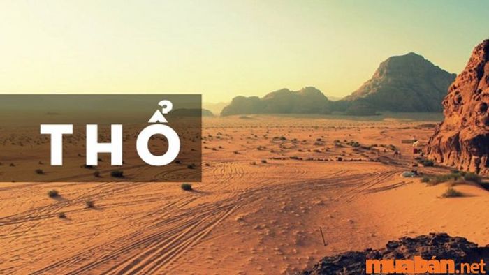 Tính cách đặc trưng của người mệnh Thổ