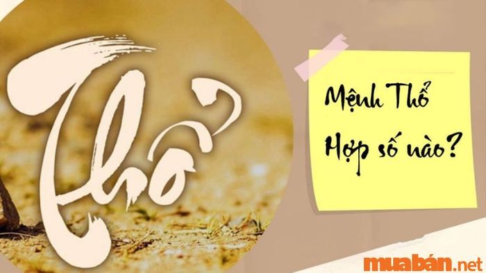 Các con số hợp và khắc với mệnh Thổ