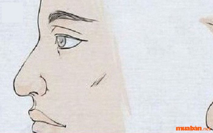 Sơn căn có đốt là tướng mệnh gặp nhiều khó khăn, khổ sở