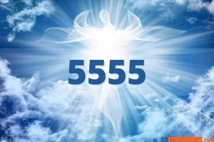 5555 có ý nghĩa gì?