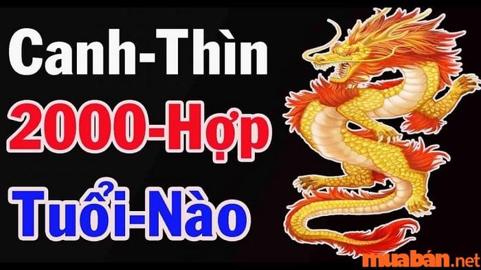 Nữ Canh Thìn 2000 kết hôn với tuổi nào là phù hợp nhất?