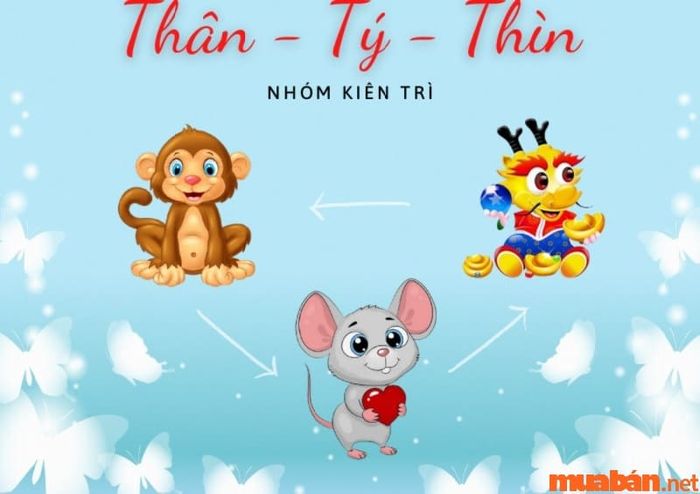 Tính kiên trì và trách nhiệm cao là những ưu điểm nổi bật của tam hợp tuổi Thìn.