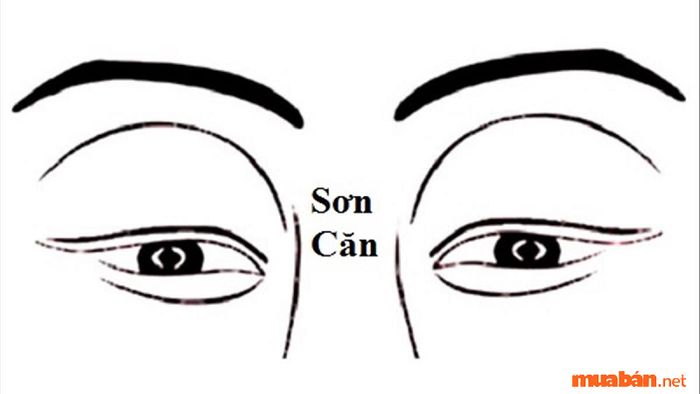 Sơn căn là gì? Đó là phần da nằm giữa hai mắt