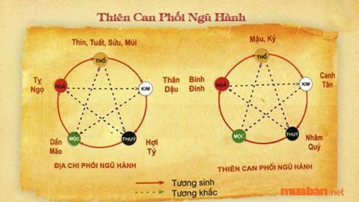 Lục Hợp được tính bằng cách xác định hai cung đối xứng qua một trục dọc, bao gồm cả trục Âm và trục Dương. Khi chúng kết hợp lại, sẽ tạo thành cặp tuổi tương hợp.