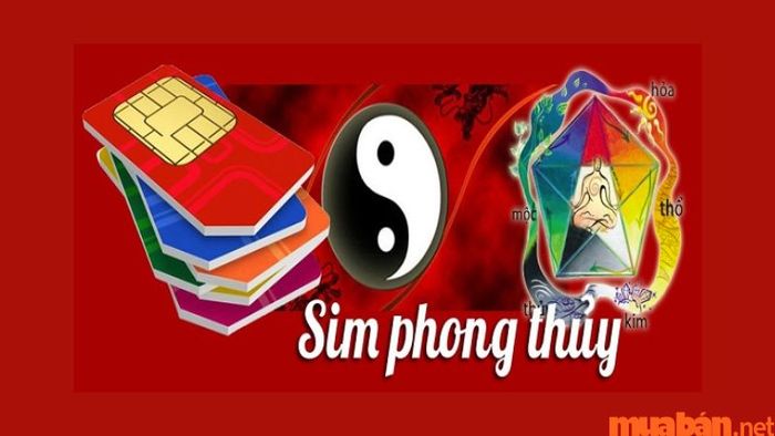 Giải mã cách chọn sim phong thủy hợp mệnh