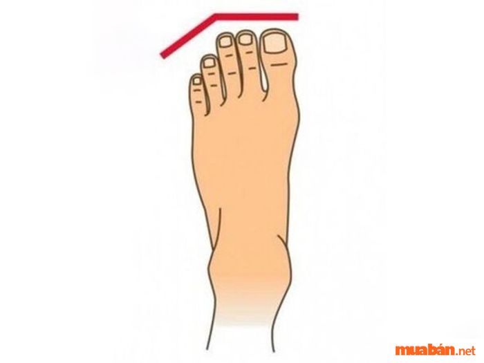 Những người có bàn chân với ba ngón đầu tiên dài gần bằng nhau rất giỏi quán xuyến công việc gia đình