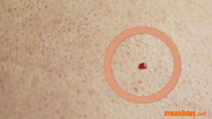 Vì vậy, để có thể tự lập và chăm lo cho gia đình, họ phải trải qua nhiều thử thách và công việc khác nhau. Đến khi bước vào tuổi trung niên, từ 40 tuổi trở lên, họ mới có thể cảm nhận được sự nhẹ nhàng trong cuộc sống hơn.