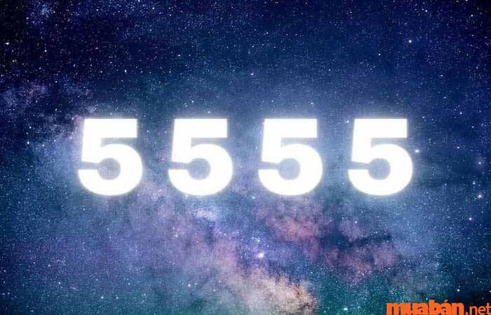 Số 5555 mang ý nghĩa gì?