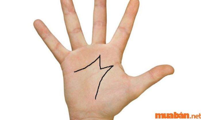 Bàn tay chữ M với các chỉ tay thẳng hàng và đều đặn