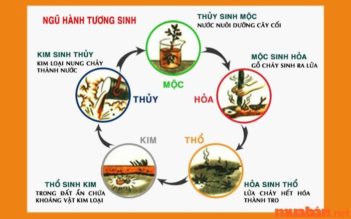 Ngũ hành tương sinh