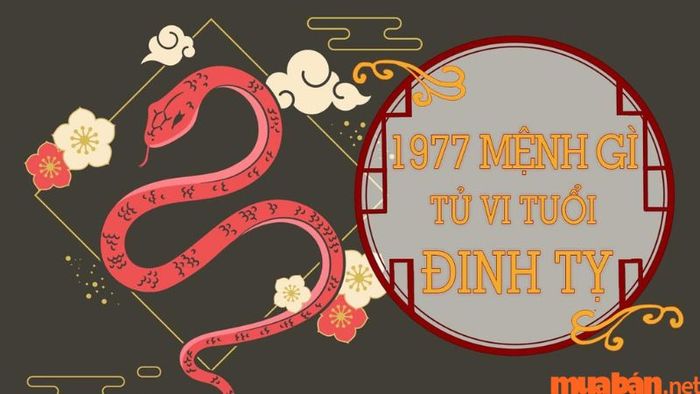 Chọn mục Free Horoscopes để tra cứu thông tin cung mọc