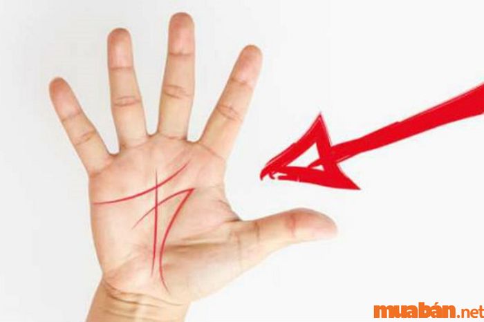Tính cách của nam giới sở hữu bàn tay chữ M thường được đánh giá là mạnh mẽ, quyết đoán và đầy sáng tạo. Họ không ngại đối mặt với thử thách và luôn có khả năng đưa ra quyết định chính xác, thậm chí trong những tình huống khó khăn. Tính cách này giúp họ đạt được thành công trong nhiều lĩnh vực và nhận được sự ngưỡng mộ từ người khác.