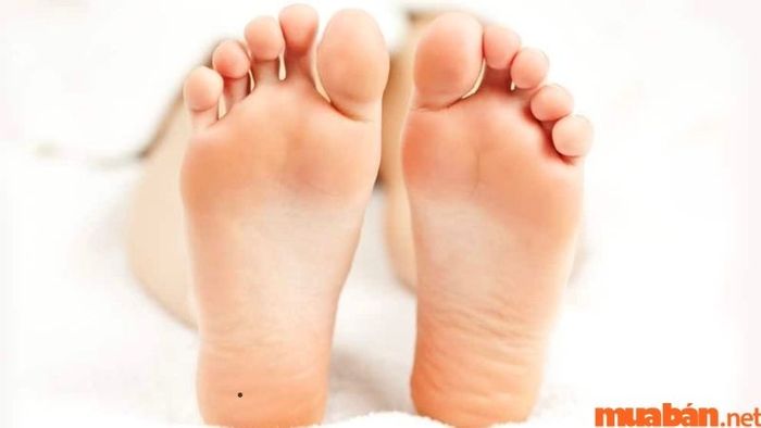 Phụ nữ có nốt ruồi ở gót chân trái thường rất kiên cường và tự lập, luôn có mục tiêu rõ ràng trong cuộc sống.