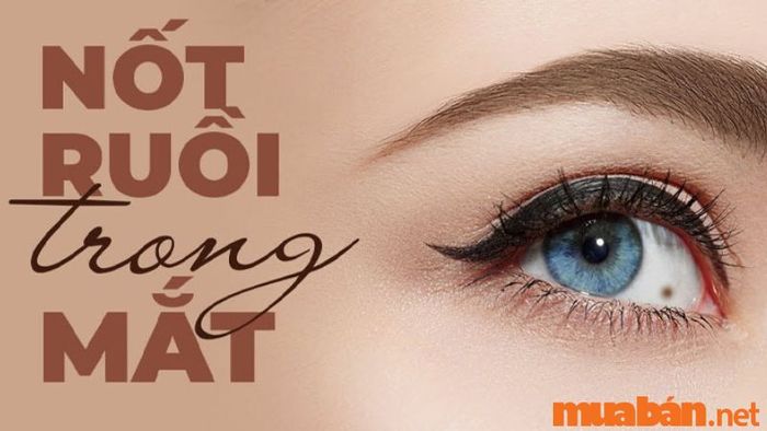 Vận mệnh của những người có nốt ruồi trong mắt sẽ như thế nào?