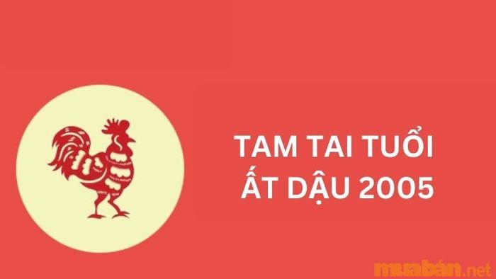 Cách tính tam tai