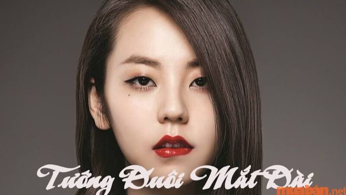 Đuôi mắt dài trong nhân tướng học mang lại những thông điệp gì?
