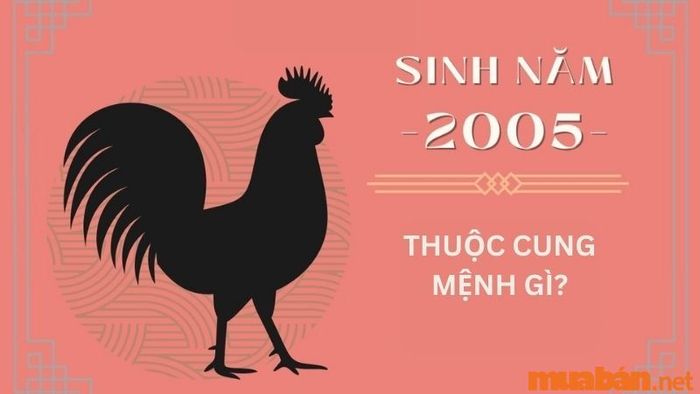 Người sinh năm 2005 có cung mệnh gì?