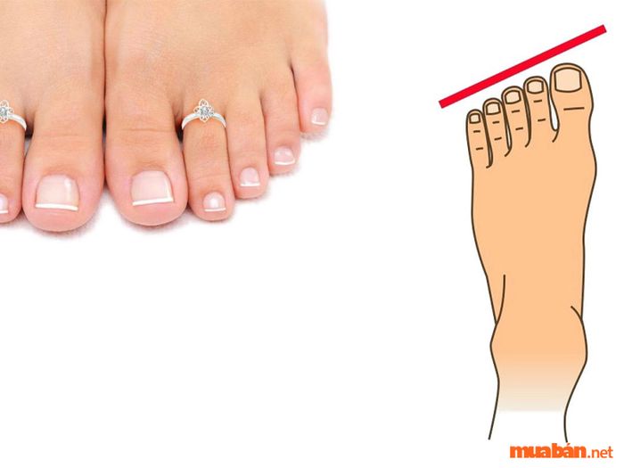 Bàn chân có ngón cái dài nhất là dấu hiệu của một người chín chắn và trưởng thành