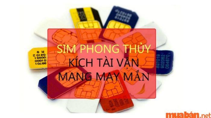 Sim phong thủy giúp mang đến vận may và sự thuận lợi trong cuộc sống