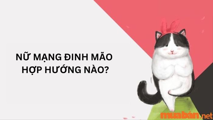 Nữ tuổi Đinh Mão nên chọn hướng nào để mang lại nhiều may mắn?