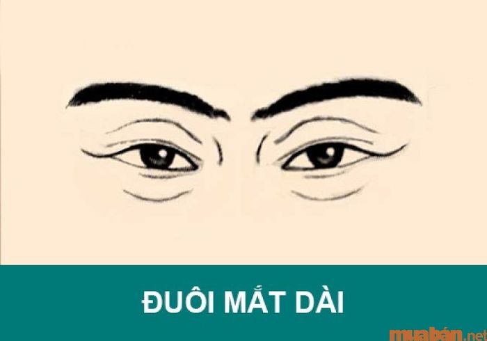 Tướng đuôi mắt dài đặc biệt thể hiện rõ khi bạn mỉm cười.