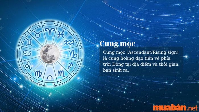 Cung mọc là gì?