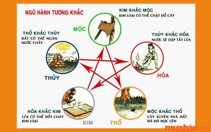 Ngũ hành tương khắc