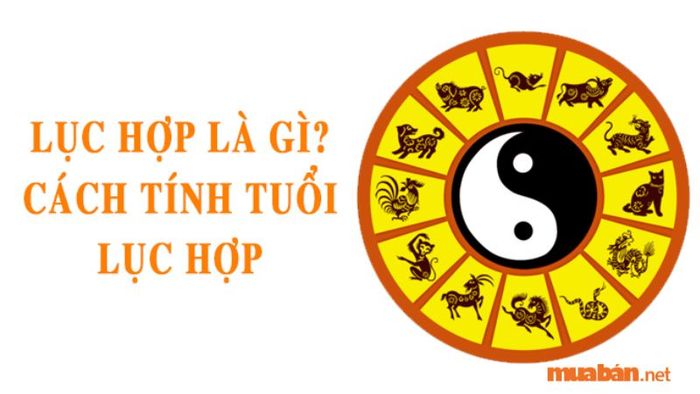 Lục Hợp là một khái niệm quan trọng trong tử vi. Hãy cùng Mytour tìm hiểu về nó ngay trong bài viết này!