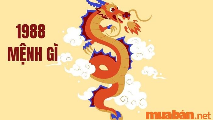 Khám Phá Tử Vi Người Sinh Năm 1988: Mệnh Gì Và Những Điều Cần Biết