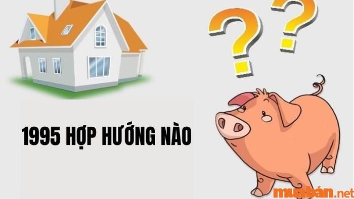 Người tuổi Ất Hợi 1995 nên chọn hướng nào phù hợp để mang lại tài lộc và may mắn?