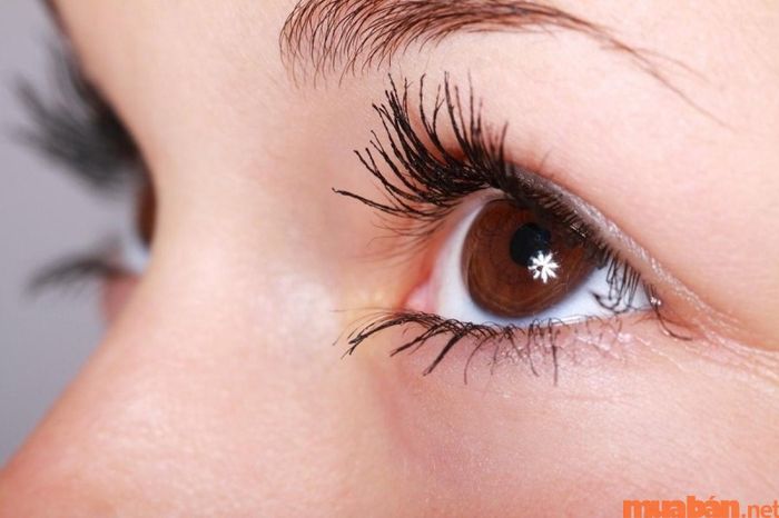 Đuôi mắt dài và lõm sâu cho thấy những đặc điểm gì ở người sở hữu?