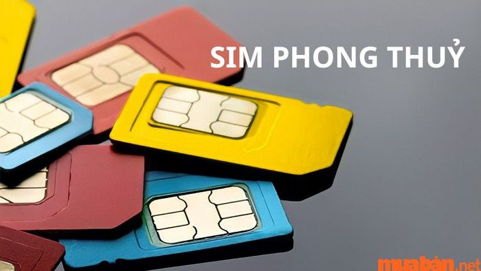 Đánh giá năng lượng Âm Dương của sim