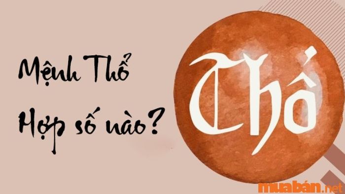 Các con số hợp và khắc với mệnh Thổ
