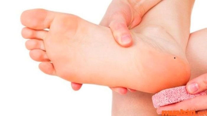 Những người này có tuổi thơ khó khăn, luôn tự lập và vượt qua thử thách từ khi còn nhỏ.