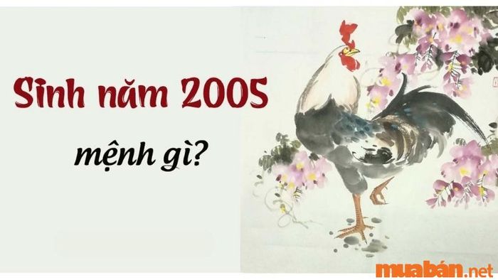 Người sinh năm 2005 thuộc mệnh gì?