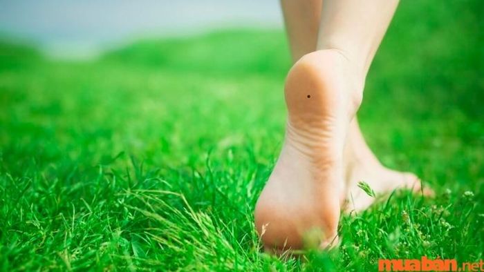 Những người phụ nữ này luôn nhận được sự may mắn trong công việc và cuộc sống, mang lại cơ hội phát triển lớn.