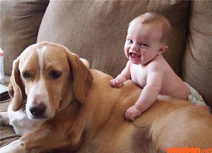 Mệnh của năm 2030 là gì?