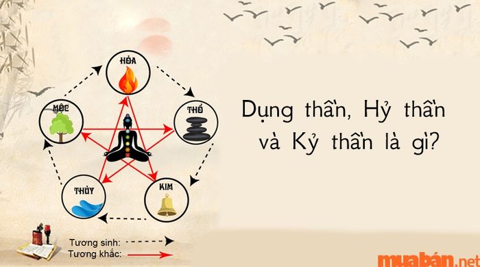 Dụng thần, Hỷ thần và Kỵ thần trong Tứ trụ là gì?