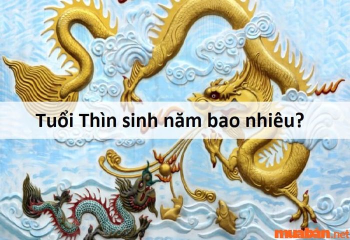 Năm sinh của người tuổi Thìn
