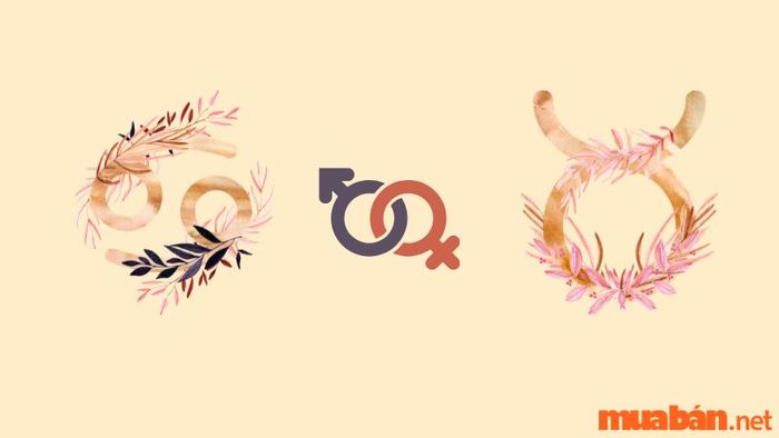 Kim Ngưu nữ và Cự Giải nam