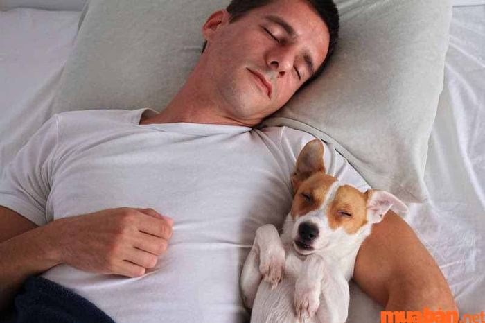 Năm 2030 mệnh gì?