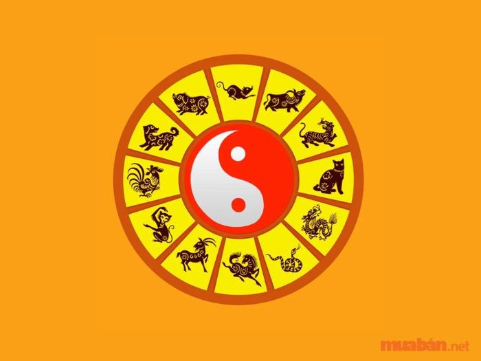 Giải thích nguyên nhân xung khắc