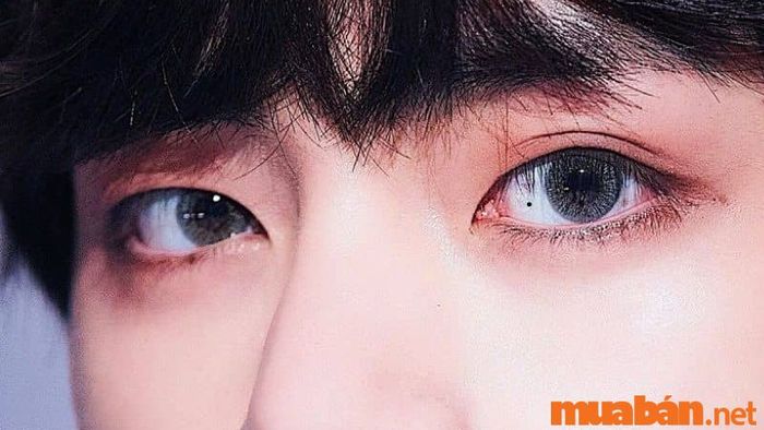 Nốt ruồi trong mắt trái nam giới có những ý nghĩa gì trong nhân tướng học?