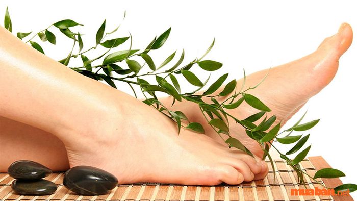 Dự đoán tướng bàn chân thường dựa vào kích thước của nó
