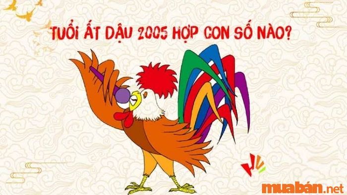 Con số may mắn dành cho người sinh năm Ất Dậu 2005