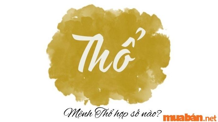 Mệnh Thổ nên chọn những con số nào để mang lại may mắn và thành công?
